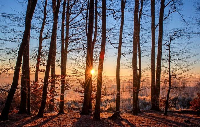 Sončni vzhod za vitamin D