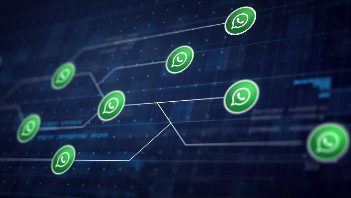 Whatsapp platforma